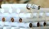 В странах ЕАЭС анонсировали появление самозатухающихся сигарет