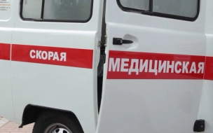 Hyundai Solaris сбил двух пенсионерок у деревни в Ломоносовском районе