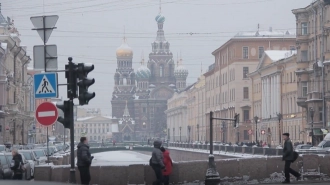 Антитеррористические меры на время новогодних праздников усилят в Петербурге
