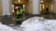 Стало известно, кто нужен петербургскому бизнесу в предд...