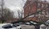Дерево упало на автомобили на Рузовской 
