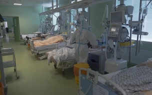 В петербургских стационарах лежат почти 8 тысяч больных COVID-19 и пневмонией