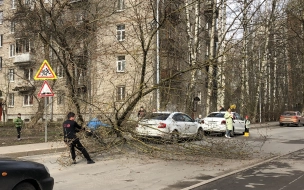 Колесов заявил, что предстоящие выходные в Петербурге будут ветреными