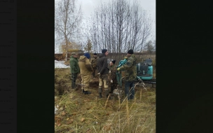 В Ленинградской области нашли неизвестное захоронение времен войны