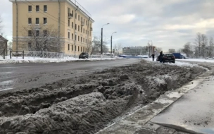 В пяти районах Петербурга оценили качество уборки на улицах и во дворах