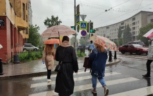 В пятницу погода в Петербурге будет дождливой 