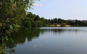 Специалисты оценят ход благоустройства территории Суздальских озер