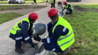 Любашинский сад засияет в новом свете