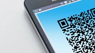 В Свердловской области отменят QR-коды для посещения общественных мест