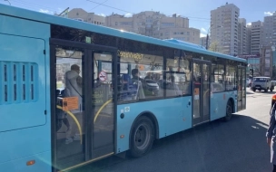 В семи районах Петербурга заработали 11 новых автобусных остановок