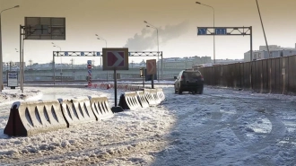 Более 20 человек погибли в Ленобласти из-за выезда на встречную полосу за месяц