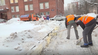 За неделю нарушения по уборке территорий в Петербурге выявили у 1428 домов 