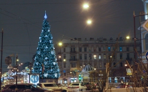 В Петербурге 10 января продолжит расти температура