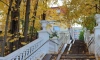 Стали известны самые живописные парки Петербурга и Ленобласти для прогулок осенью