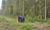 Женщину с признаками переохлаждения нашли в лесу около поселка Дубровка