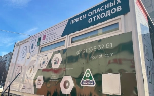 В Петербурге экологические службы за первую неделю года приняли более 250 сообщений 