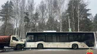 В дерене Бор столкнулись ГАЗ и автобус: пострадали 3 человека