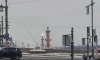 В Петербурге на Ростральных колоннах на Рождество горели огни