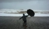 МЧС предупреждает петербуржцев о сильном ветре в среду