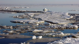 На Северной верфи оператор одного из каналов Петербурга упал в воду