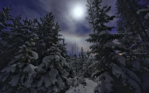 В ночь на 8 января в Петербурге и Ленобласти наблюдали лунное гало