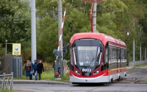 Петербург восстановит движение трамваев в Мариуполе и передаст городу 100 автобусов