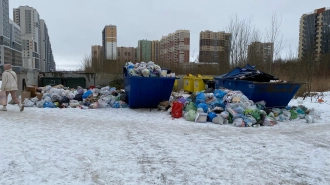 Жителя Всеволожска задержали по подозрению в хищении мусорных контейнеров