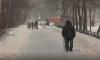 Петербуржцам обещают холодную зиму в наступившем году