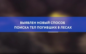 Выявлен новый способ поиска тел погибших в лесах