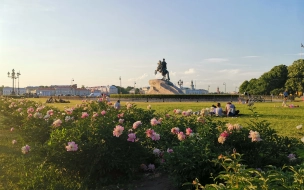 Туристов предлагают штрафовать на 2 тысяч рублей за неуплату курортного сбора в Петербурге