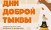 В Петербурге 5 дней будет работать пункт приёма тыкв, оставшихся после Хэллоуина