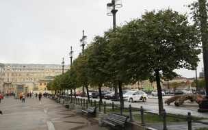 В Петербурге 30 августа температурный фон окажется на 2-3 градуса ниже климатической нормы