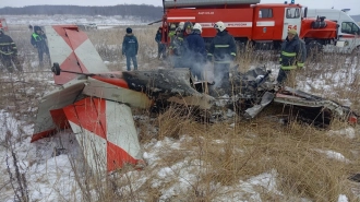 В Нижегородской области упал легкомоторный самолет