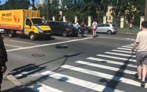 Пешеход погиб под колесами авто на Обводном канале