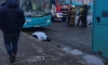 В Купчино в ДТП погиб водитель автобуса