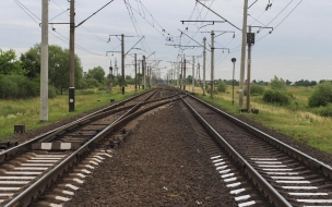 С 1 июня из Петербурга в Красное село начали ходить дополнительные электрички