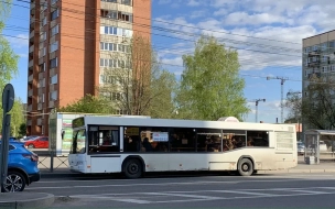 В Петербурге с 22 по 24 июня пустят дополнительные автобусы до кладбищ