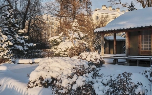 Жители Петербурга могут бесплатно посетить Ботанический сад 