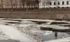 Петербуржцы заметили льдины с мусором на Крюковом канале