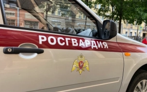 В Кронштадте росгвардейцы по "горячим" следам задержали хулиганов, разбивших окно квартиры