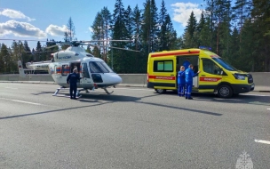 Комздрав Петербурга рассказал, в какие больницы доставили велосипедисток после ДТП на трассе "Скандинавия"