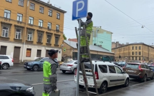 В комтрансе назвали самую загруженную платную стоянку Петербурга