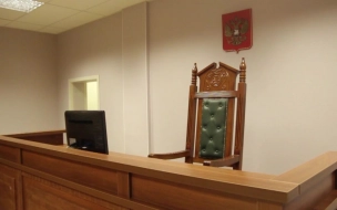 Перед судом предстанет петербуржец, обвиняемый в убийстве своей сожительницы и их общей двухлетней дочери