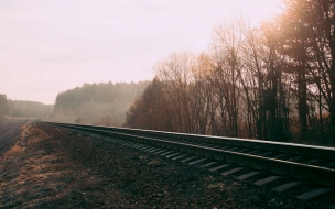 В Ленобласти задержали похитителей почти 4 тонн железнодорожных рельс