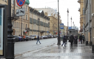 На жалобы автомобилистов Петербурга отреагировала Госдума