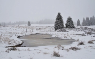 Замерзшие болота Сибири могут выделять метан 