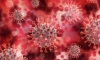Распространяющийся в Великобритании штамм коронавируса может быть заразнее "дельты" 
