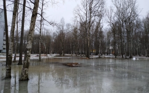 В Ленобласти 25 марта будет ветреная погода