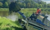 Реку Дачную в Петербурге очистили от растительности