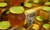 Петербуржцам рассказали о пользе меда в борьбе с онкологией